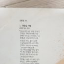 마로니에3 이미지