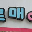 나르매애견 이미지