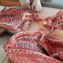 선봉농장 이미지