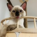 더오래 동물병원 이미지