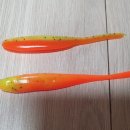 오가피싱 이미지