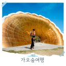 드림마트체인 | 대만 가오슝 가족여행 3박4일 항공권 호텔 경비 총정리
