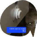 2023-01-07 토요일 한겨울 보일러 고장 이미지