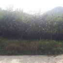 목사동면사무소 이미지