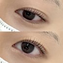 CU 정릉입구점 | [오브린] 성신여대 속눈썹펌/자연스러운 컬 강추/노글루펌 추천