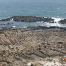 양남주상절리 이미지