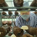 창녕군 치매안심센터 이미지