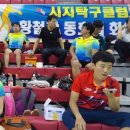 시지탁구클럽 Daum카페