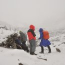 정상농장 이미지