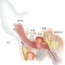 김동물병원 이미지