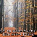 {초강추} 주님의 손길 / 놀라운 은혜 / 메들리 3곡 / 김주성 은혜의 찬양 이미지