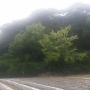 부림부동산공인중개사사무소 이미지