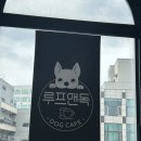 루프앤독 | 안산 한대앞역 루프탑 있는 애견카페 루프앤독 사전답사 후기