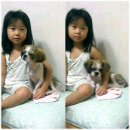토토페키 이미지