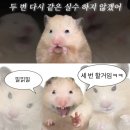 비금농업협동조합 | [여름 계곡 여행] 다 접어 두고 우리 함께 물놀이 가면 안될까요🎶