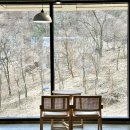 보문산 산책길 | 대전 보문산 카페 멜뷰, 애견동반 대형 카페 통창뷰 맛집 내돈내산