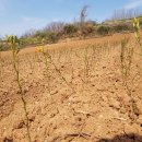 종근목장 이미지