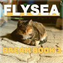 나래BIKE | 게임 BJ 방송에 사용하기 좋은 배경 음악 Fly Sea 'Dream Book3' 앨범 소개