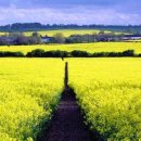 산넘어남촌엔 이미지