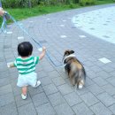 슬찬동물병원 이미지