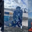 와이키키다이버스 이미지