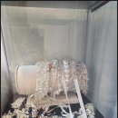 선우 소프트 이미지