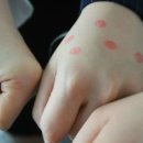 신내1동 동성1.2차아파트 이미지