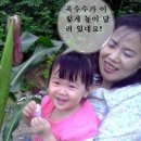 동촌농장