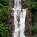 폭포 이미지