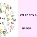 머니테라피 Daum카페