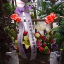 여성M파크병원