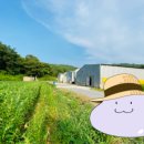 선한부자농장 이미지