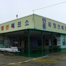 안흥유람선 티스토리
