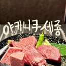 수모텔 | 나고야 야키니쿠 맛집 추천 야키니쿠 세종 사카에점 솔직 후기✨
