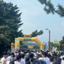 김밥in카페 | [후기] 2025 커피빵빵런 in 강릉 런린이의 후기