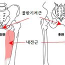 17. 햄스트링 스트레칭 & 입공 악력운동 이미지