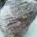 월출농장 이미지