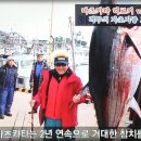 거대참치