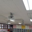 금향초등학교 이미지