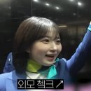 뉴팀즈 이미지