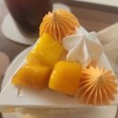 노원역 카페 &#39;백오얏&#39;의 대표 디저트 | 맛있는 망고생크림케이크 후기