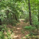 팔덕면사무소 이미지