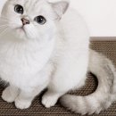 일이삶사 이미지