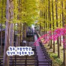 이마트편의점 테크노4단지 맞은편 공원 코너 | 청주 가볼만한곳 청남대 가을축제 국화 입장료 시간