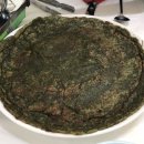 선창감태칼국수 이미지