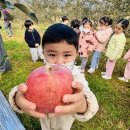 재미나라어린이집 이미지