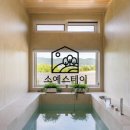 스테이 소예 이미지