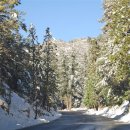 엔젤레스 이미지