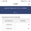 심플라이트