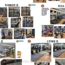 문스타휘트니스황산점